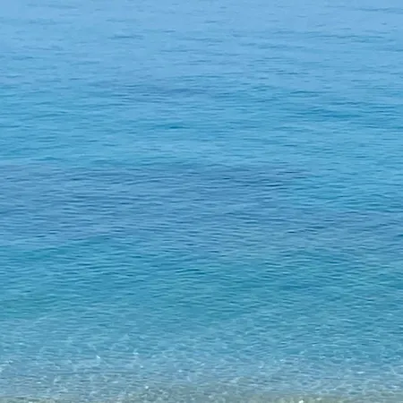 Gine's * Tropea
